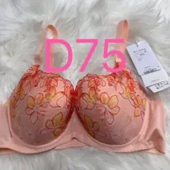 Item thumbnail for item 6bf88354-b5ec-42f3-84e0-c4974eb2c006