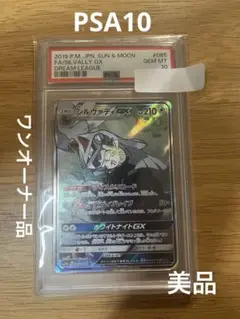 シルヴァディGX PSA10 シルヴァディGX SR PSA10通販