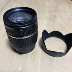 Item thumbnail for item a0b42440-a71a-4ccf-ac7a-acf1fd107f3b