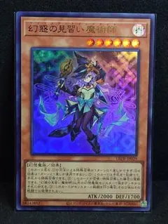 遊戯王　幻惑の見習い魔術師　ウルトラ