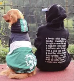 Item thumbnail for item 515cc393-e91a-4cd0-9995-3daa473f79ee