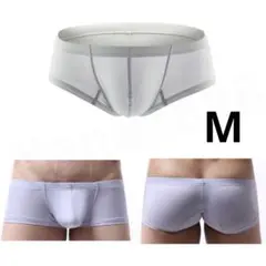 Item thumbnail for item e2d23346-b62b-4a45-bae7-94638aa4317e