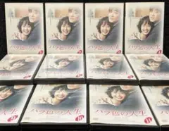 『バラ色の人生』《全話／全12巻》チェ・ジンシル／イ・テラン／ムン・ヨンナム