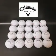 Item thumbnail for item d235241a-4483-4433-b5ce-77a1397ba765