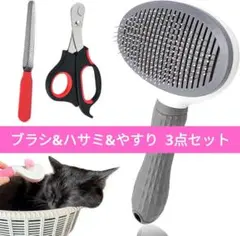 Item thumbnail for item acfcf3c2-a0e9-4e60-9e80-c767b8bf04c4
