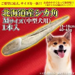 長持ち!鹿の角 M1本 犬のおやつ『ガリッとホーンR』シカの角 中型犬