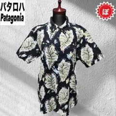Item thumbnail for item 9f08c3b6-061f-41df-a209-5df017436e1c