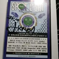 SPOT LIGHT 2017 DVD