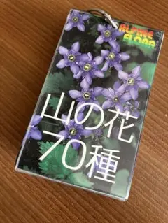 アルペン図鑑【ミニ図鑑シリーズ】 山の花　70種　ポケット図鑑　単語カード式