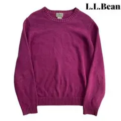 L.L.Bean エルエル ビーン コットン ニット セーター M 古着