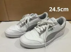 PUMA スニーカー　24.5cm