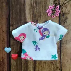 ブライス パオラミニ