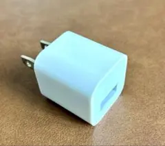 Apple　純正　AC電源アダプター