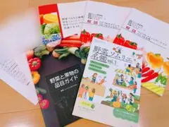 2025年最新】野菜ソムリエ テキストの人気アイテム - メルカリ