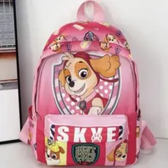 新品　未使用　完売品　パウ・パトロール　　スカイ　POWPATROL