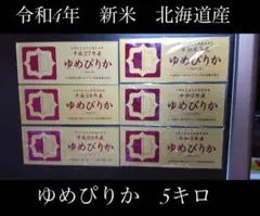 令和4年度 新米 北海道産 ゆめぴりか 5キロ
