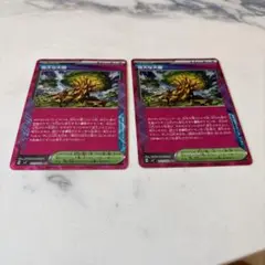 大樹の大樹 ACE 2枚セット