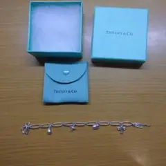 【希少】ティファニー ミニ 5チャーム ブレスレット