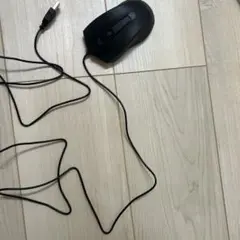 Item thumbnail for item bf0a65e0-c8bc-441d-afb0-6e98fa841d44