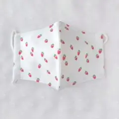 子ども 立体マスク お絵描きいちご柄 ２枚セット