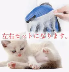 Item thumbnail for item e564c911-847f-4c57-ab45-62db6dc8404d