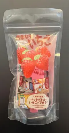 いちご栽培キット　ペットボトル栽培　水栽培　自由研究　観察日記　観賞