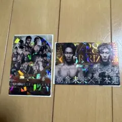 RIZIN ポテトスティック 超RIZIN.2＆3【No.21,27】
