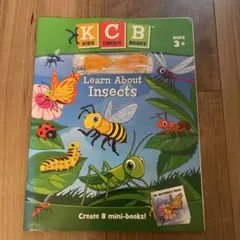 英語学習　Learn About Insects