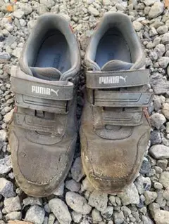 Item thumbnail for item 5bbd5907-a115-4cfd-aa5b-2b7f8578bfa9