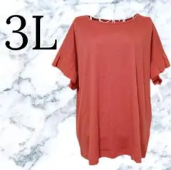 新品 レディース 大きいサイズ 半袖 Tシャツ ゆったり おおきめ 3L