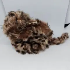 Item thumbnail for item 9375d069-c3e0-43fe-a751-6a13a08ff627