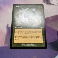 踏査 Exploration JP 339 旧枠 DMR