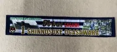 2015 甲子園　東海大相模　優勝記念　小笠原慎之介　東海大相模野球部　非売品