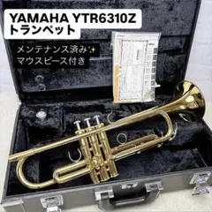 ヤマハトランペットケース　YTR-6310Z用阪神タイガース公認　新品未使用品 2025年最新】yamaha ytr 6310zの人気アイテム - メルカリ