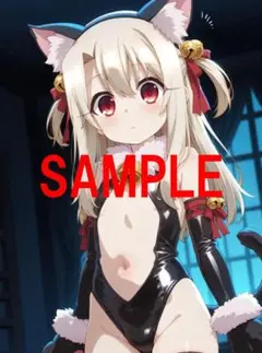 品番：0081　イリヤスフィール　ブロマイド