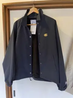 Item thumbnail for item 1507b4a1-6a46-4c5f-ba6f-d62518dcd88b