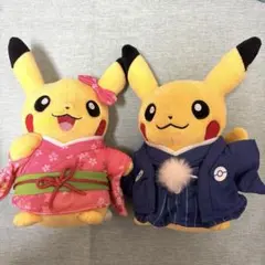 2025年最新】ポケモンセンター マンスリーペアピカチュウの人気