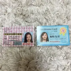 AKB48 板野友美