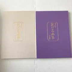 「世界と日本 花の名画集」 日本美術教育センター 絵画 画集
