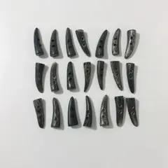 水牛 21個 トグルボタン ダッフルボタン
