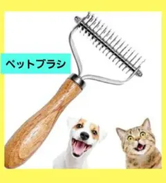 Item thumbnail for item 44826015-dfda-4c35-a66d-a639e7dc28f5