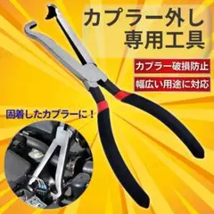 Item thumbnail for item ee535253-197f-468d-9626-604fef56ff5b