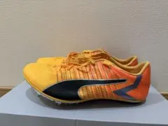 PUMA エヴォスピード ブラッシュ6