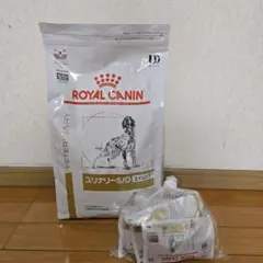 Item thumbnail for item 01b3f242-9742-4875-b1ea-892f26e6d926