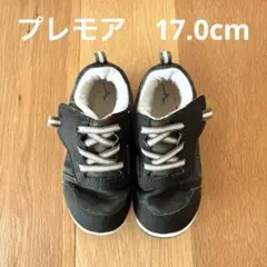 プレモア　17.0cm