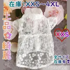 XXS上品なレースワンピース 春夏犬の服猫服 ドッグウェア ペットウェアわんこ服