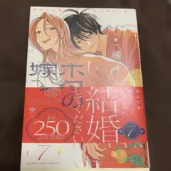 ホタルの嫁入り　7