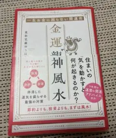 金運龍神風水