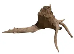 Item thumbnail for item 60a20098-fc4b-4fd6-888d-fdd3dfeee0ce