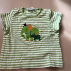 familiar 緑色ストライプTシャツ70